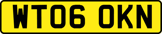 WT06OKN