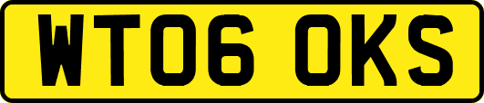 WT06OKS