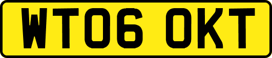 WT06OKT