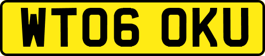 WT06OKU