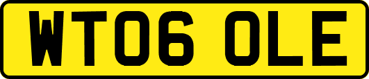 WT06OLE