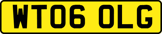 WT06OLG