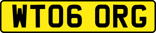 WT06ORG