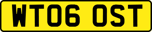 WT06OST