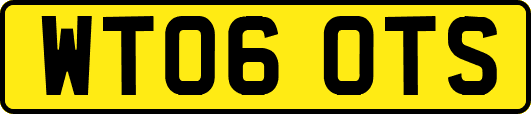 WT06OTS
