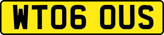 WT06OUS