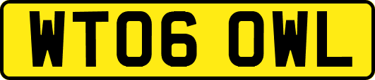 WT06OWL