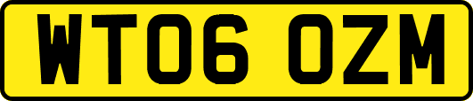WT06OZM