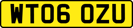WT06OZU
