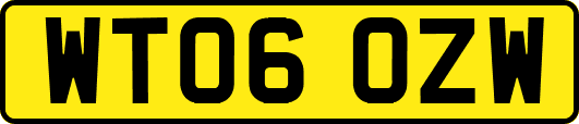 WT06OZW