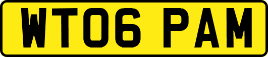 WT06PAM
