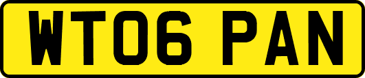 WT06PAN