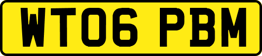 WT06PBM