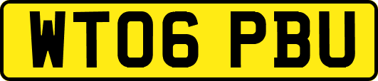 WT06PBU