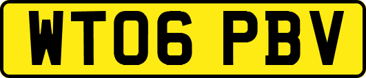 WT06PBV
