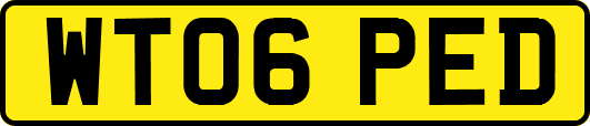 WT06PED