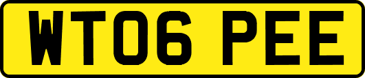 WT06PEE