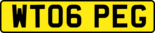 WT06PEG