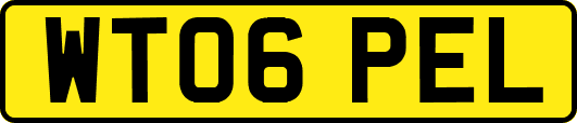 WT06PEL