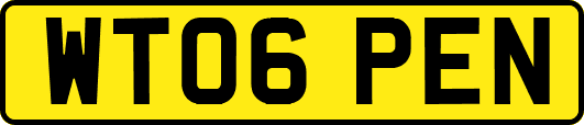 WT06PEN