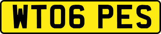 WT06PES