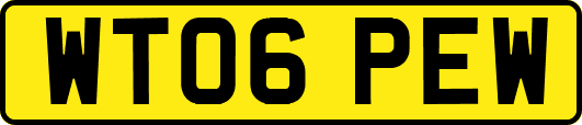 WT06PEW