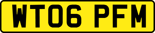 WT06PFM