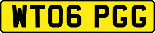 WT06PGG