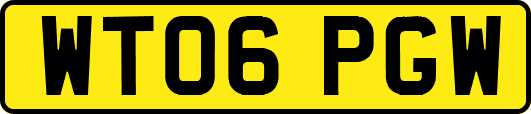 WT06PGW