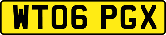 WT06PGX