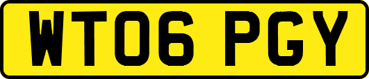WT06PGY