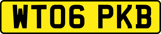 WT06PKB