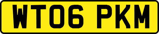 WT06PKM
