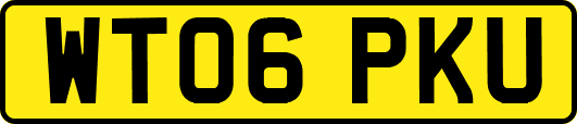 WT06PKU