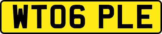 WT06PLE