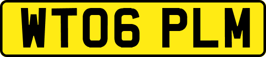 WT06PLM