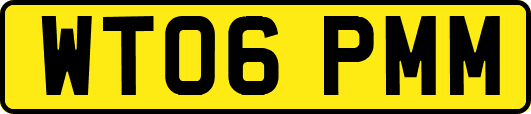 WT06PMM