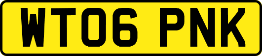 WT06PNK