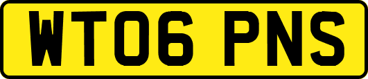 WT06PNS