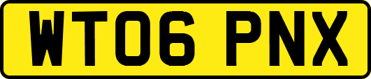 WT06PNX