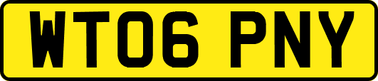 WT06PNY