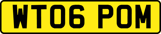 WT06POM