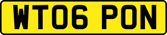 WT06PON