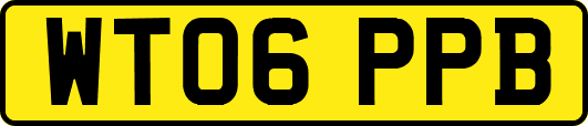 WT06PPB