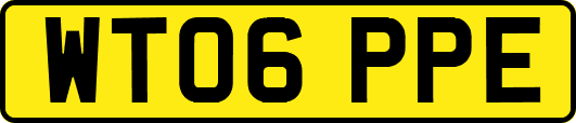 WT06PPE