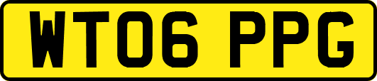 WT06PPG