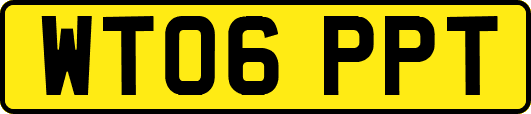 WT06PPT