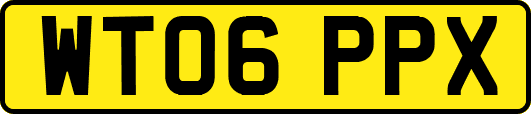 WT06PPX