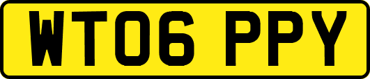 WT06PPY