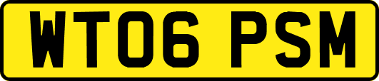 WT06PSM